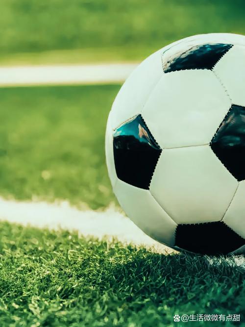 新手球迷入门学习场景