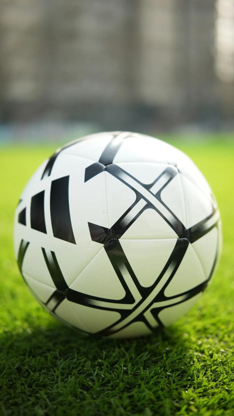 资深球迷观赛助手场景